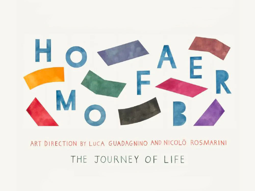 HOMO FABER - The journey of life